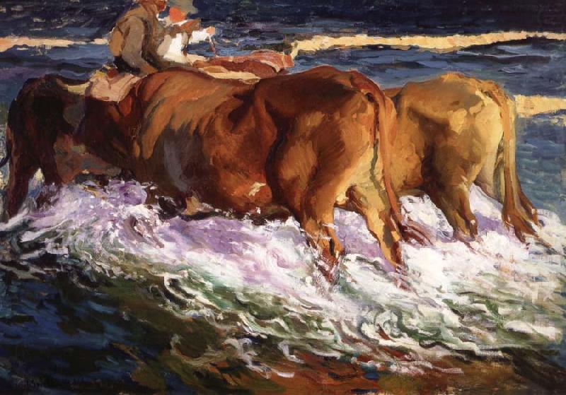Joaquin Sorolla Y Bastida Oxen Study for the Afternoon Sun china oil painting image
